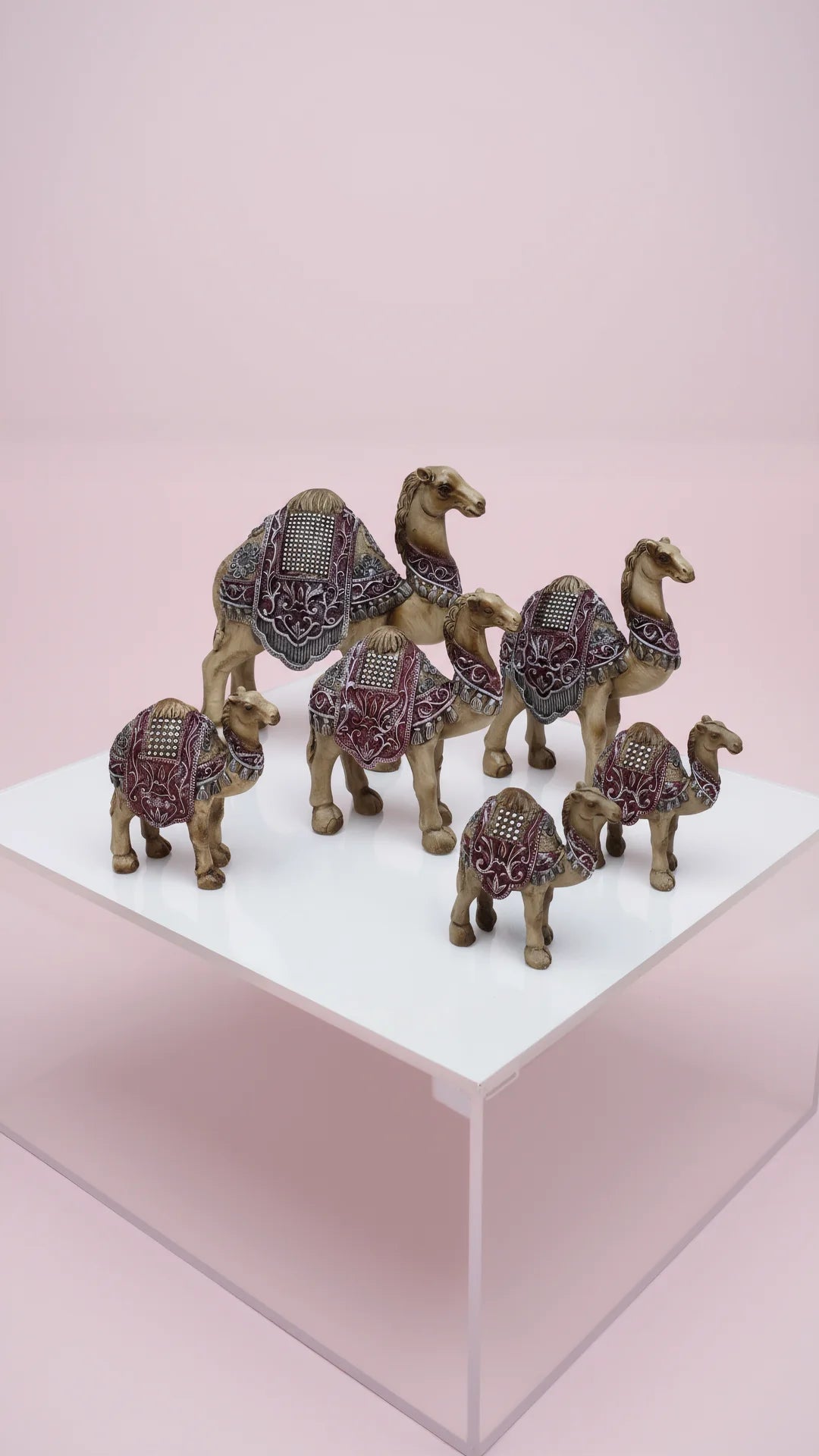 Set Of 5 Arabian Standing Camel Figures With Gift Box